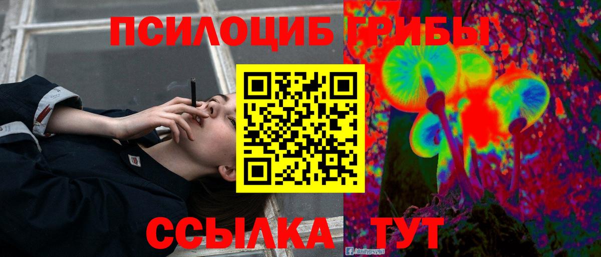 Псилоцибиновые грибы Magic Shrooms Киселёвск