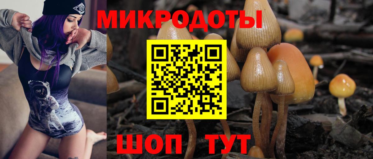 Киселёвск  закладки  Вход с VPN  Галлюциногенные грибы прущие грибы 