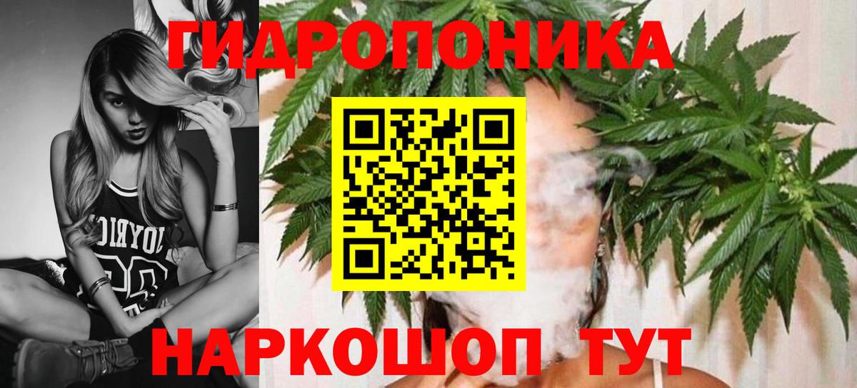 МАРИХУАНА план Киселёвск